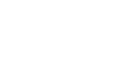 Leizi-logo-white